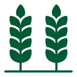 Icone Cereais